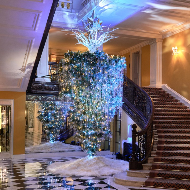 The Most Unusual Christmas Trees With A Unique Design